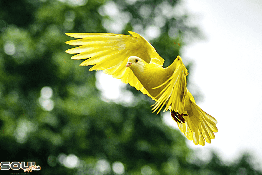 yellow bird symbolism